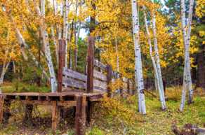 Old Cattle Chute-4310.jpg Old Cattle Chute-4310.jpg